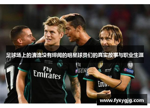足球场上的清流没有绯闻的明星球员们的真实故事与职业生涯